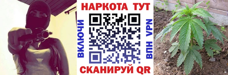 Купить закладку Псилоцибиновые грибы  ГЕРОИН  Бошки Шишки  Мефедрон  Иркутск