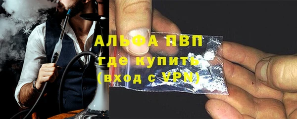 прущие грибы Пересвет