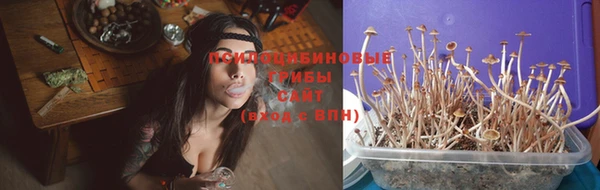 не бодяженный Переславль-Залесский