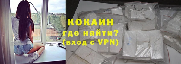 прущие грибы Пересвет