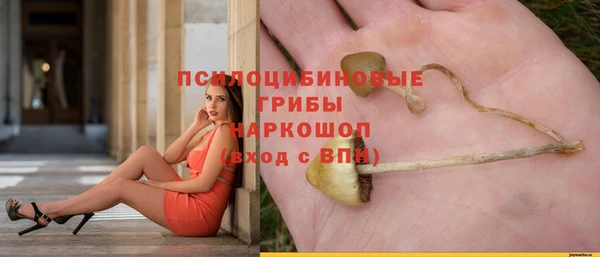 не бодяженный Переславль-Залесский