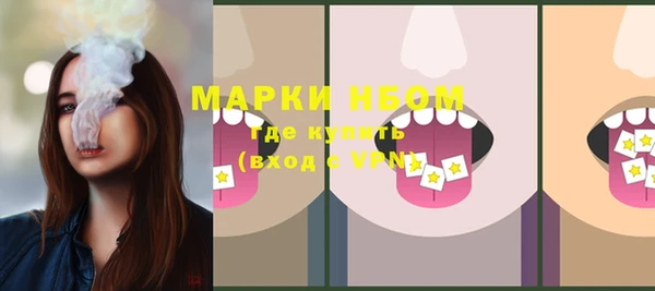 прущие грибы Пересвет