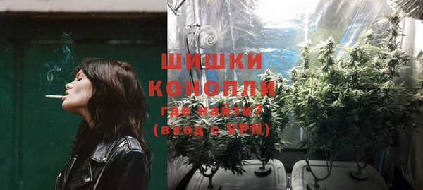 прущие грибы Пересвет