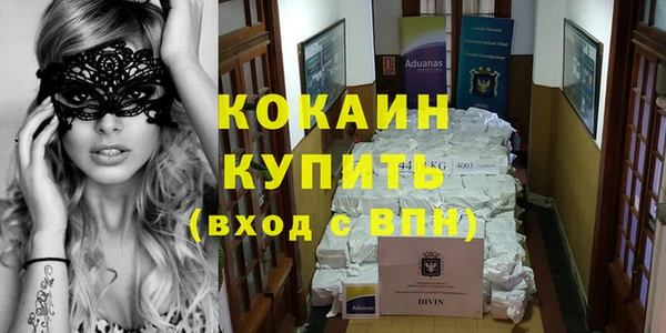 прущие грибы Пересвет