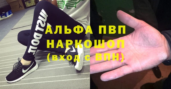 прущие грибы Пересвет