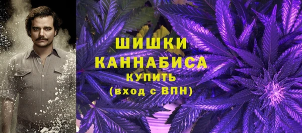 прущие грибы Пересвет