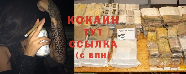 прущие грибы Пересвет
