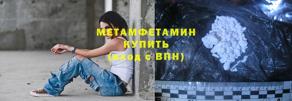 прущие грибы Пересвет
